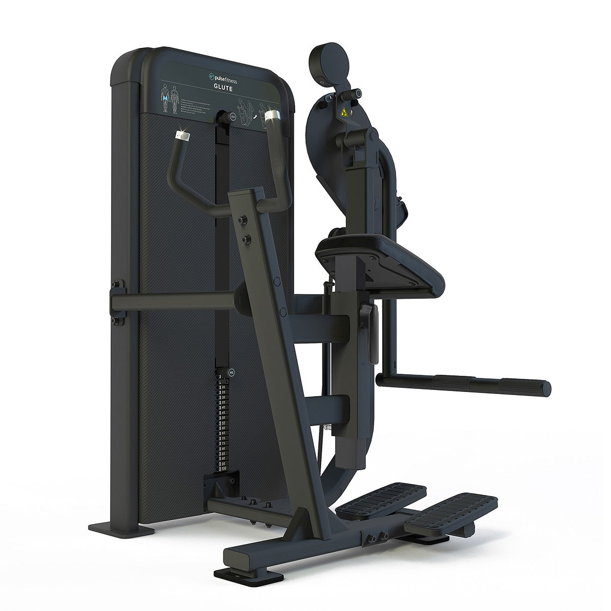 Pakarapotku - Pulse Fitness | Classic