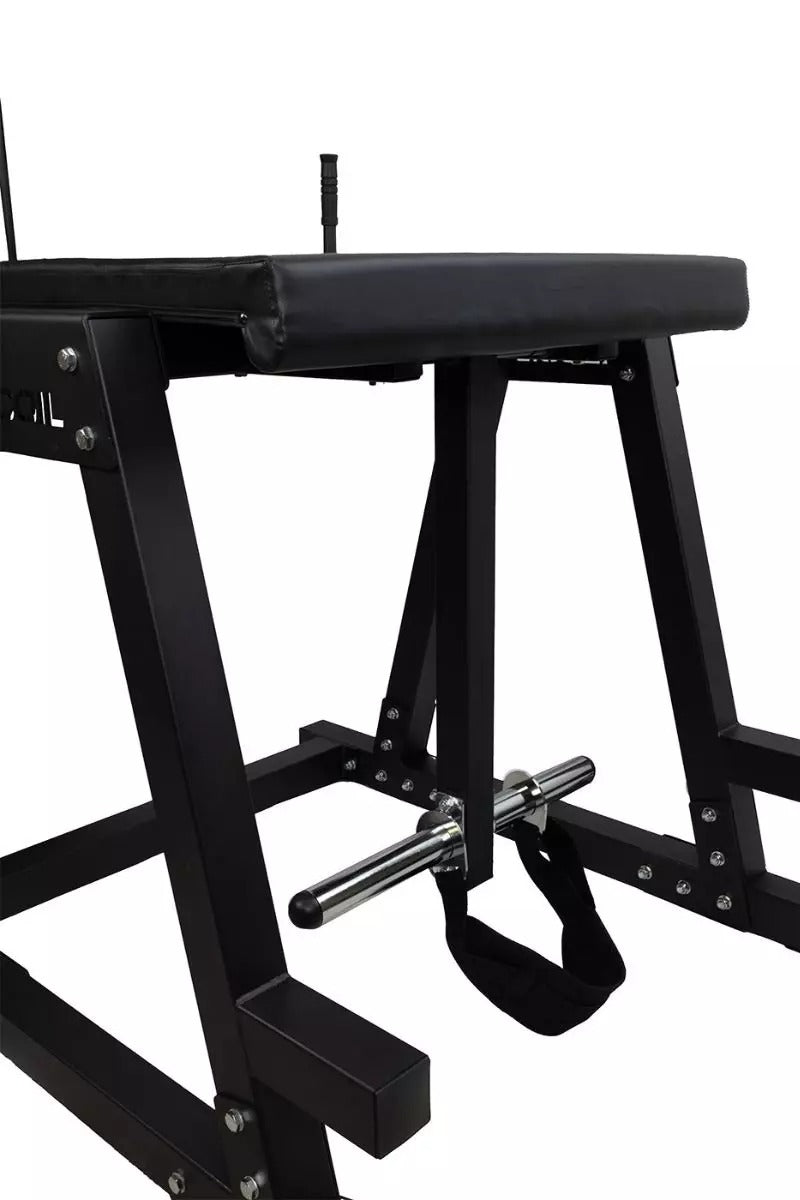 Reverse Hyper – Recoil